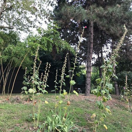 Tra S.Orsola E Fiera Apartman Bologna Kültér fotó