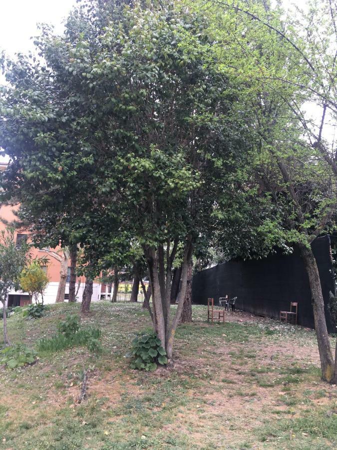 Tra S.Orsola E Fiera Apartman Bologna Kültér fotó